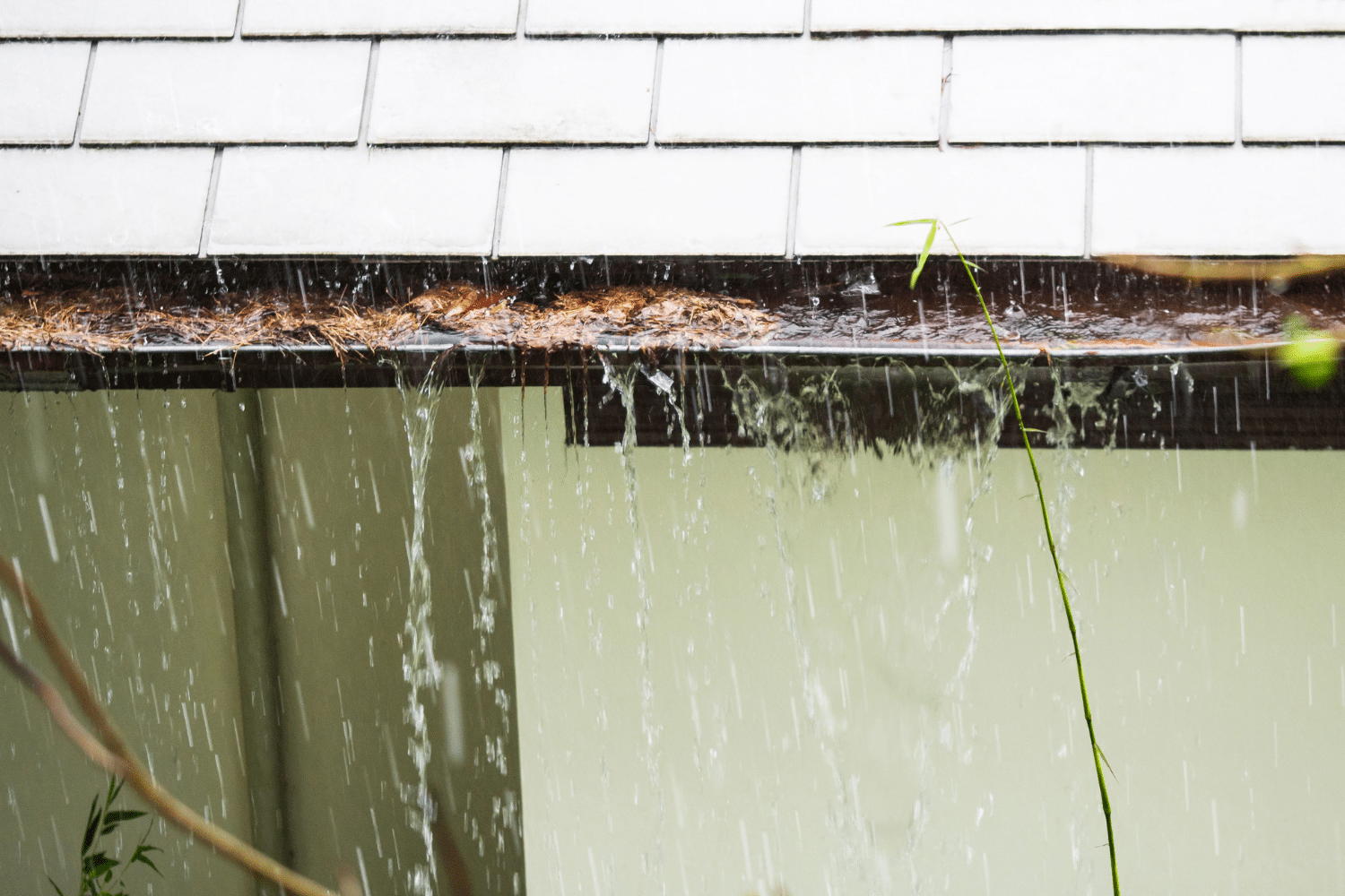 Wood rot and water damage on siding and fascia board