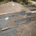 The image displays significant storm damage to a roof, characterized by missing and peeling shingles, exposing the underlying roofing materials.