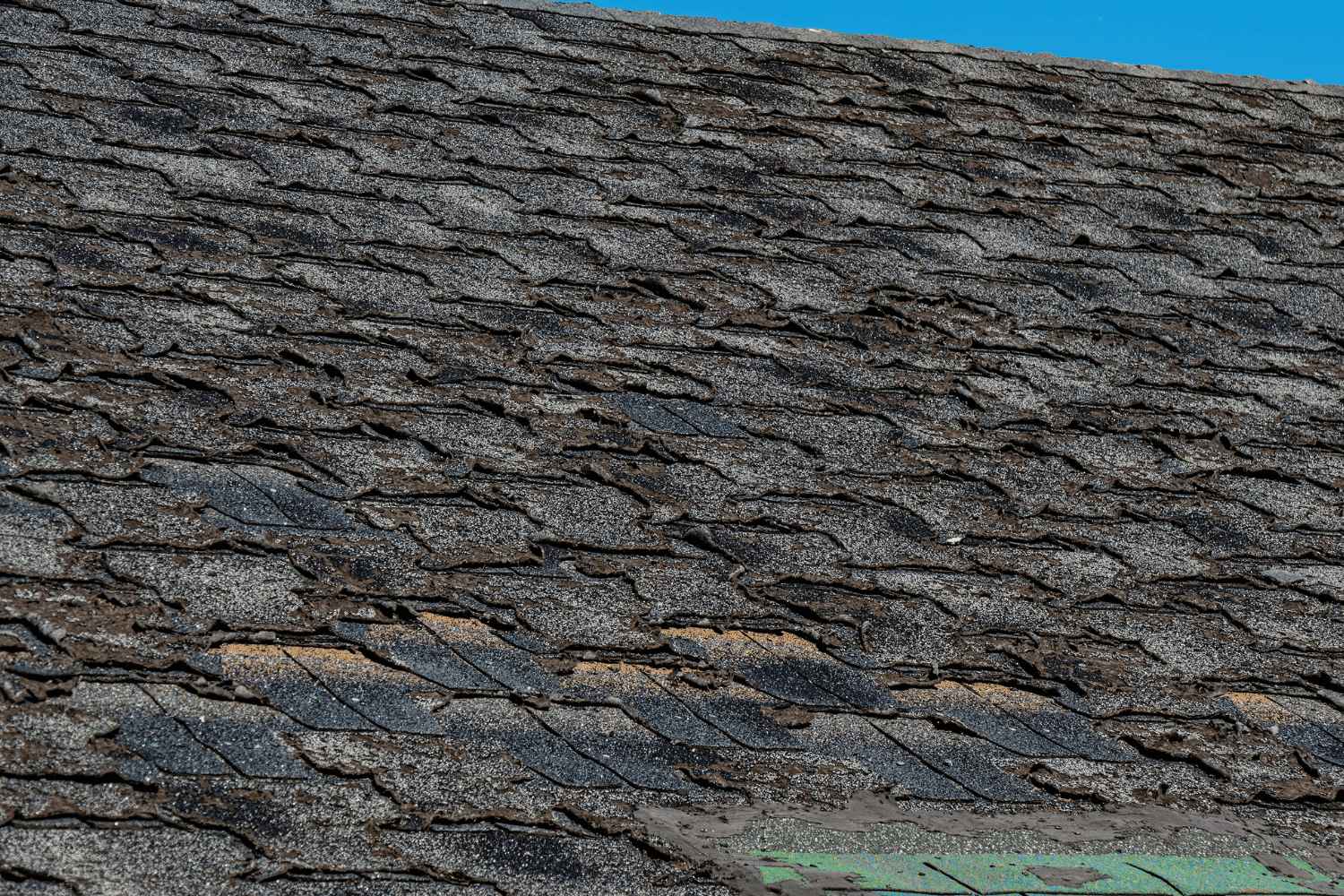 The image displays a roof covered with asphalt shingles, which appear to be worn and potentially damaged