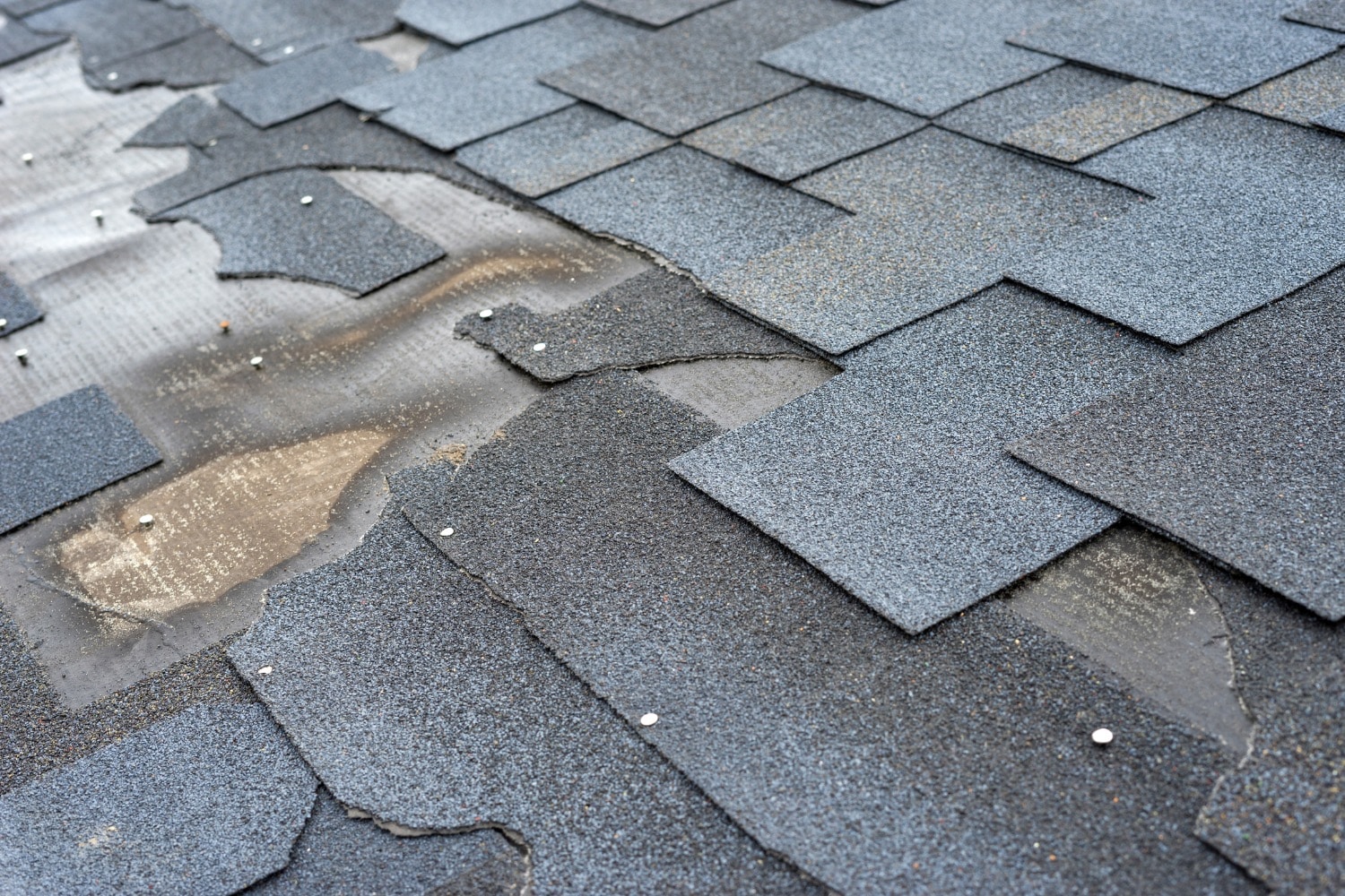 Toledo roof damage rapid roofing