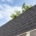 Benefits of asphalt shingle roofs