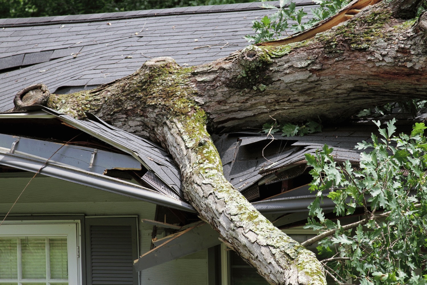 Illustration of water damage from heavy rains