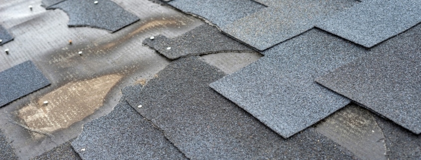 Detroit damaged shingle roof