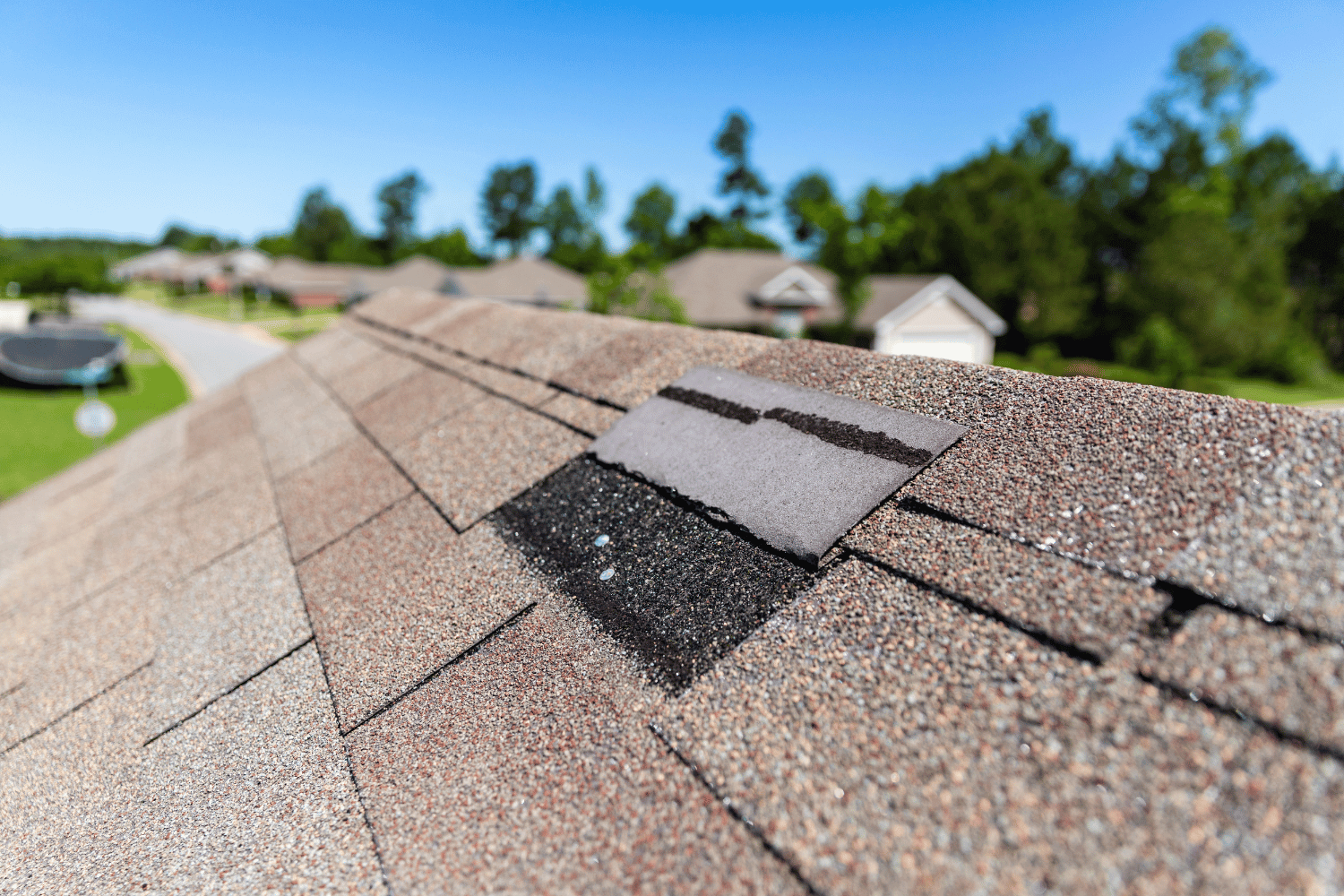 A close-up view of roof shingles with some lifting due to wind damage.