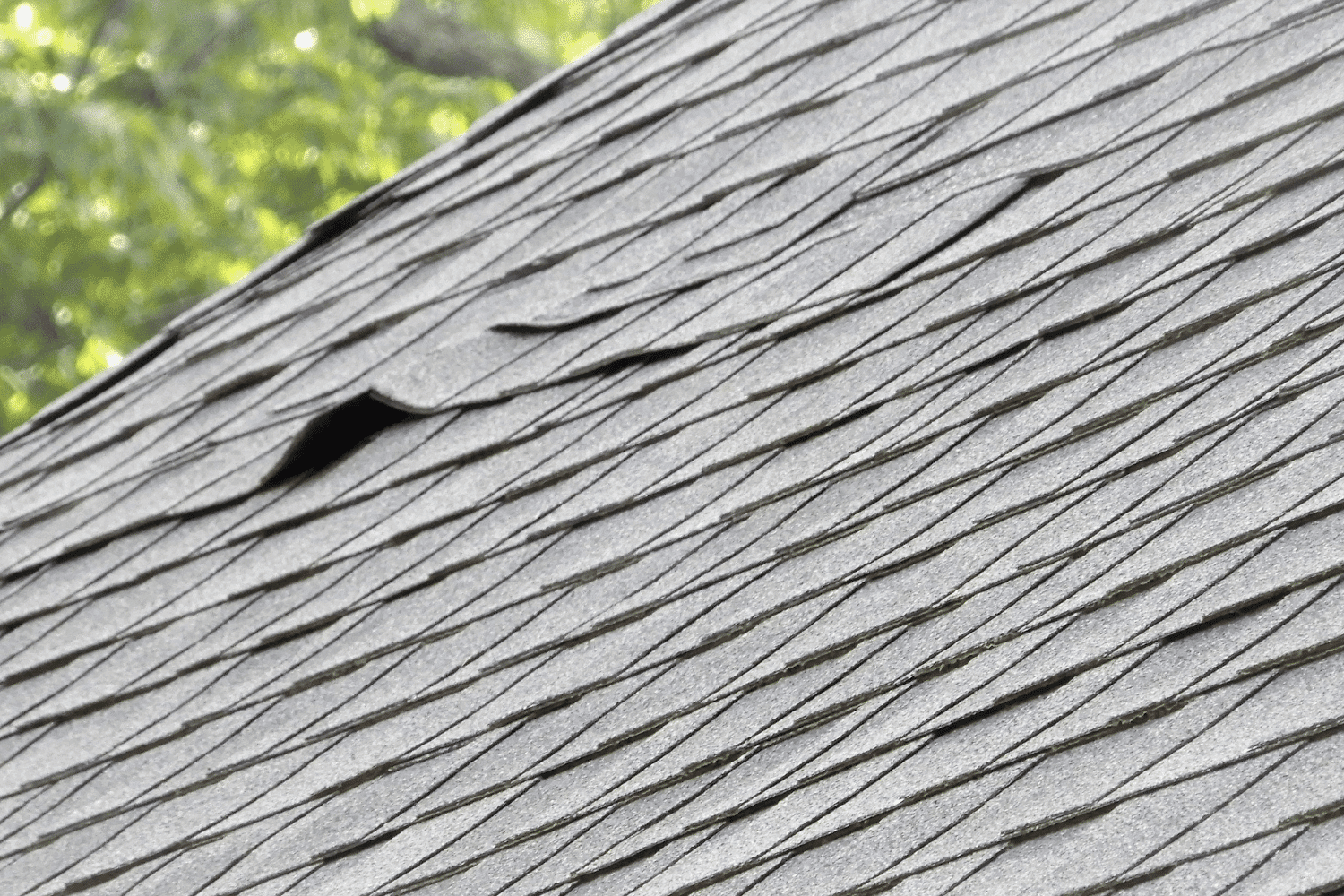 An inspection of a roof showing signs of wind damage with loose shingles.