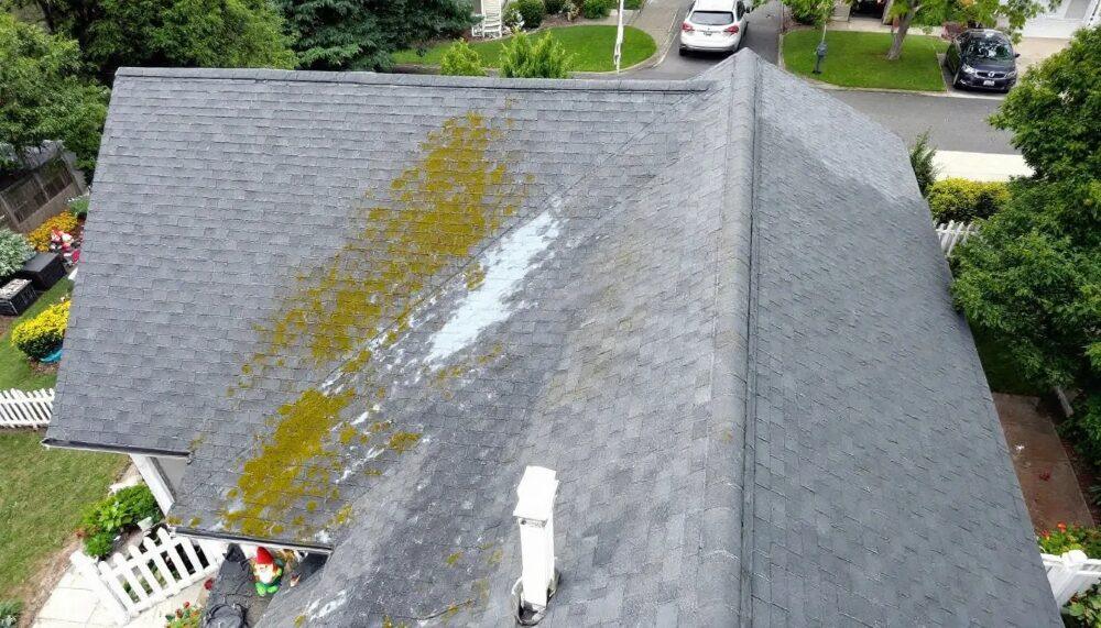 A well-maintained roof demonstrating preventive measures against moss growth.